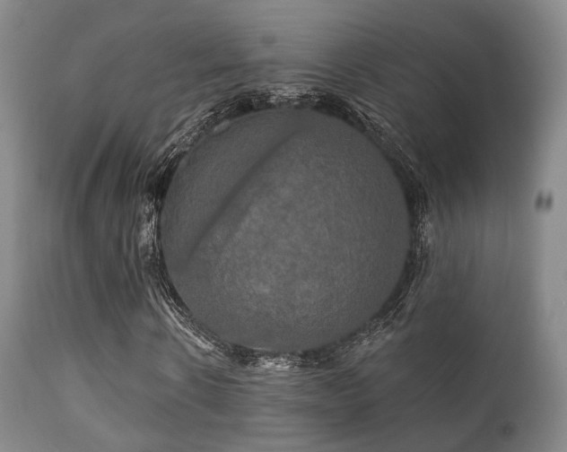 X0000112200914200908141430