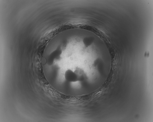 X0000112200917200908141430
