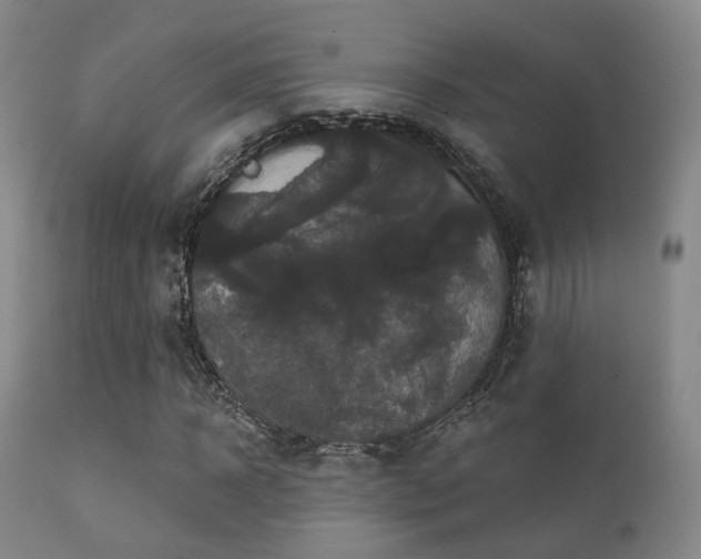 X0000112200918200908141430