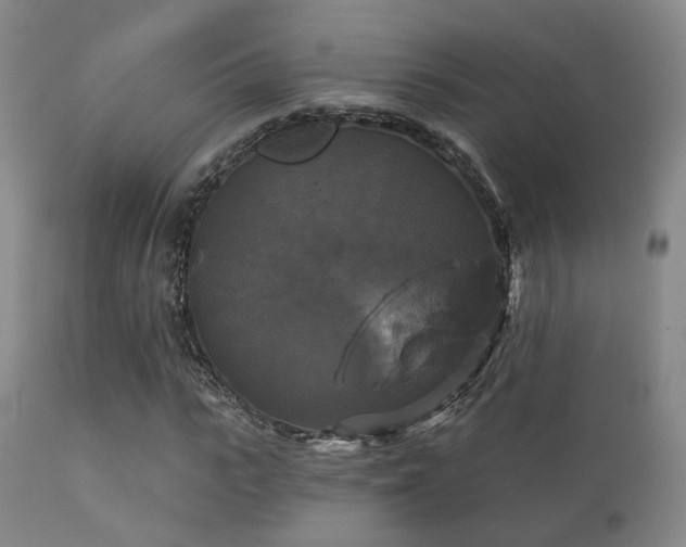 X0000112200919200908141430