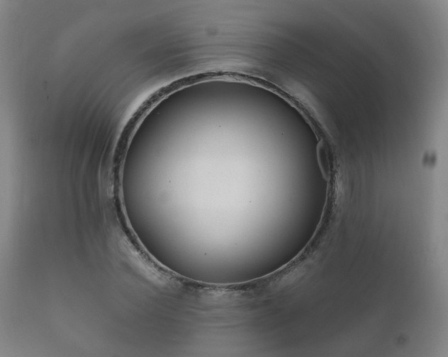 X0000112200924200908141430