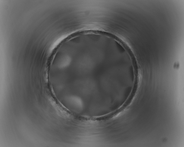 X0000112200925200908141430