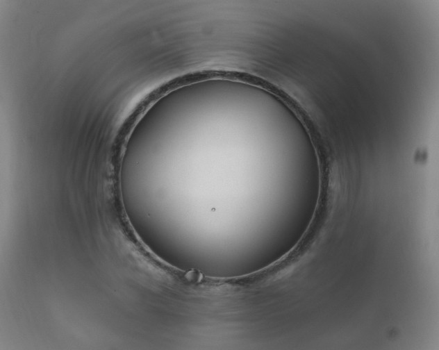 X0000112200926200908141430