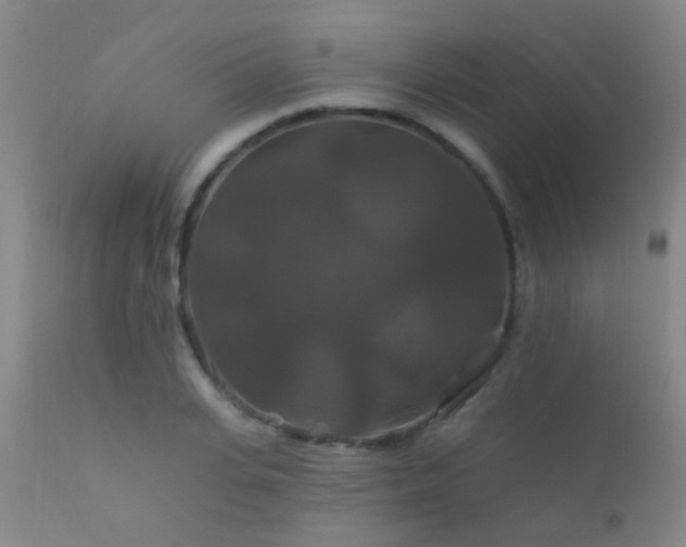 X0000112200935200908141430