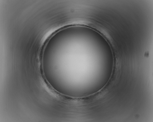 X0000112200936200908141430