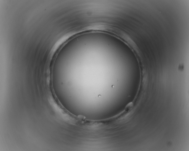 X0000112200939200908141430