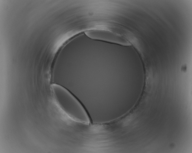 X0000112200944200908141430
