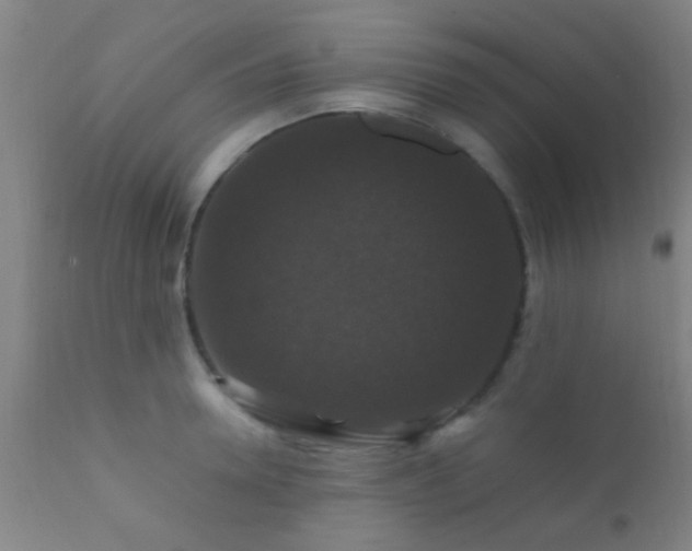 X0000112200946200908141430