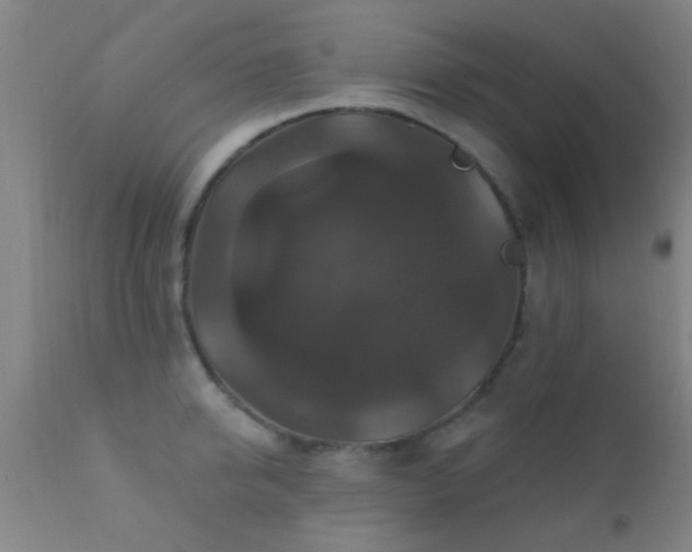 X0000112200950200908141430