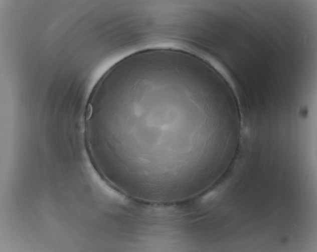 X0000112200951200908141430