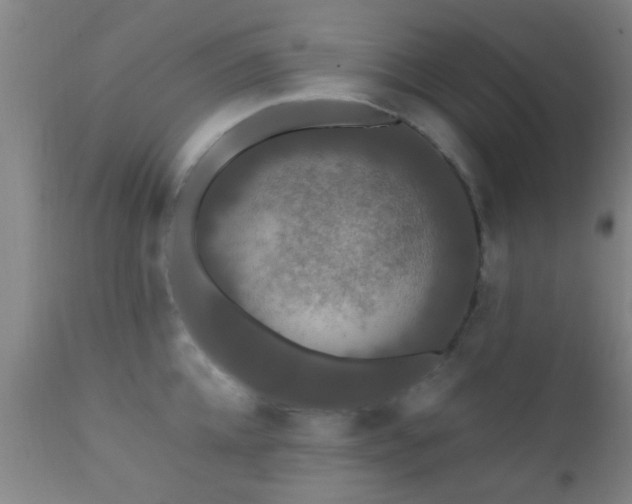 X0000112200952200908141430