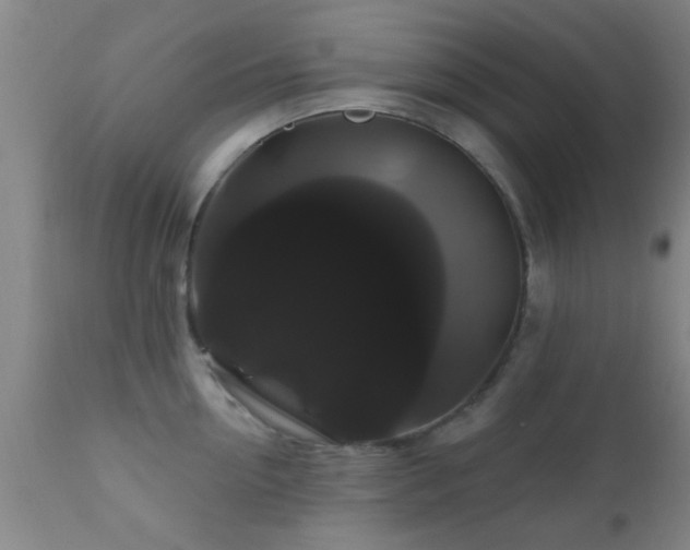X0000112200954200908141430
