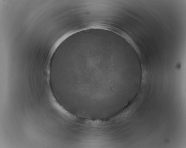 X0000112200955200908141430