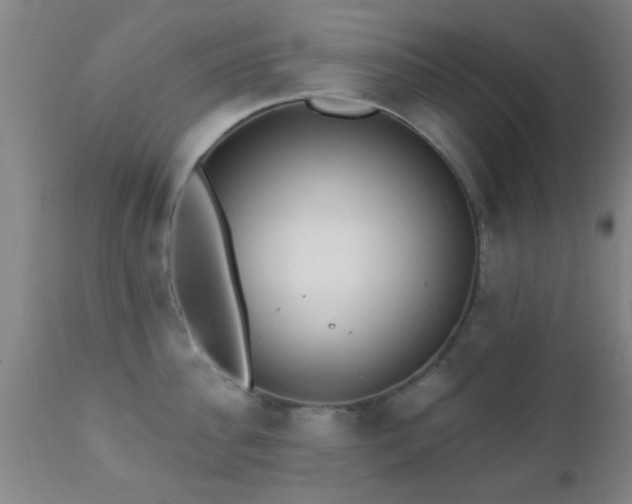 X0000112200956200908141430
