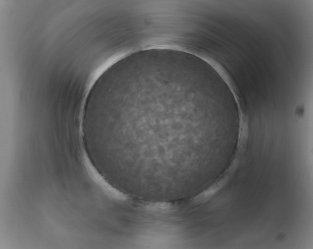 X0000112200957200908141430