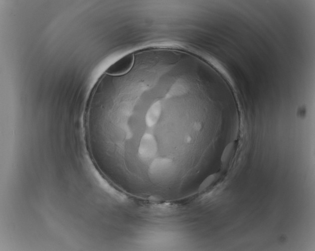X0000112200959200908141430