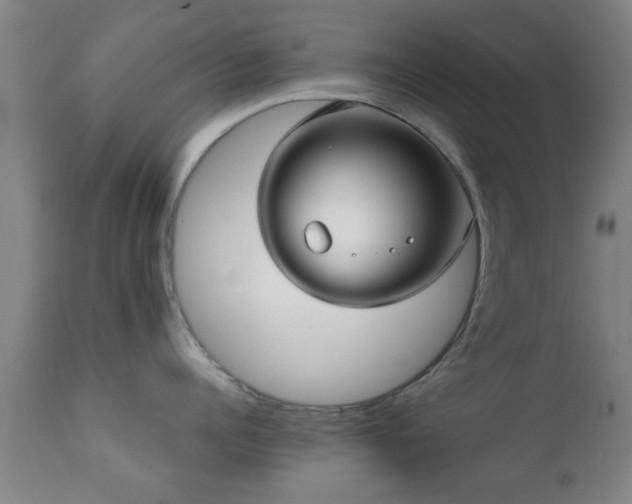 X0000112200960200908141430