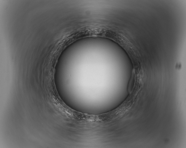 X0000112200961200908141430