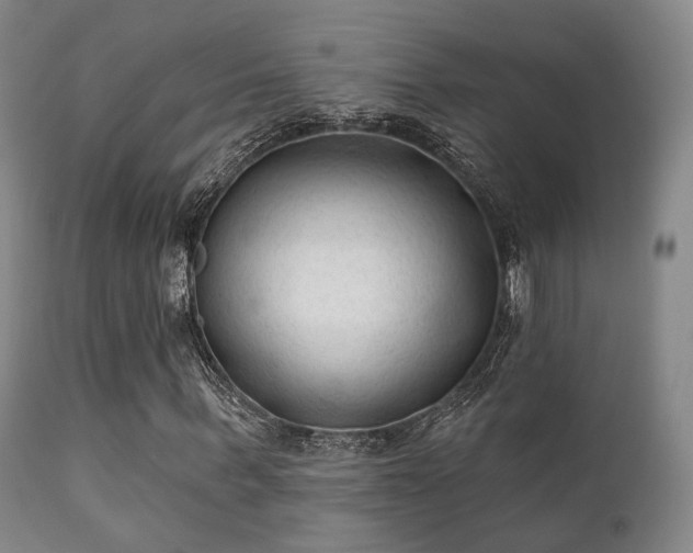 X0000112200963200908141430