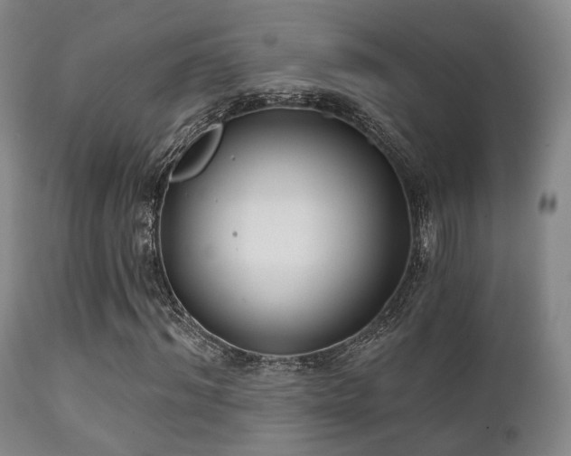 X0000112200964200908141430