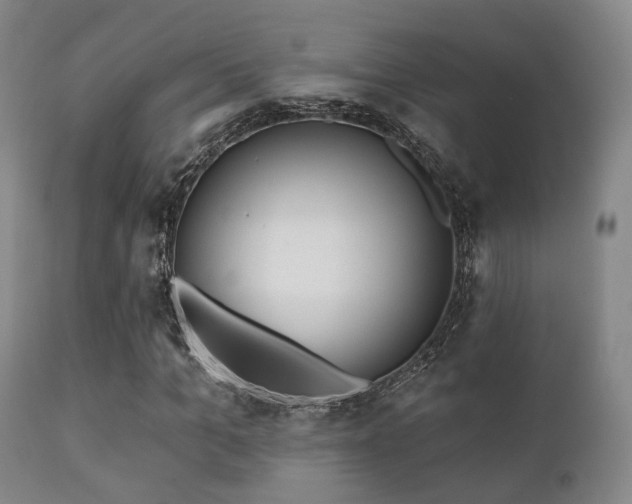 X0000112200965200908141430