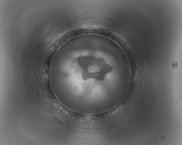 X0000112200966200908141430