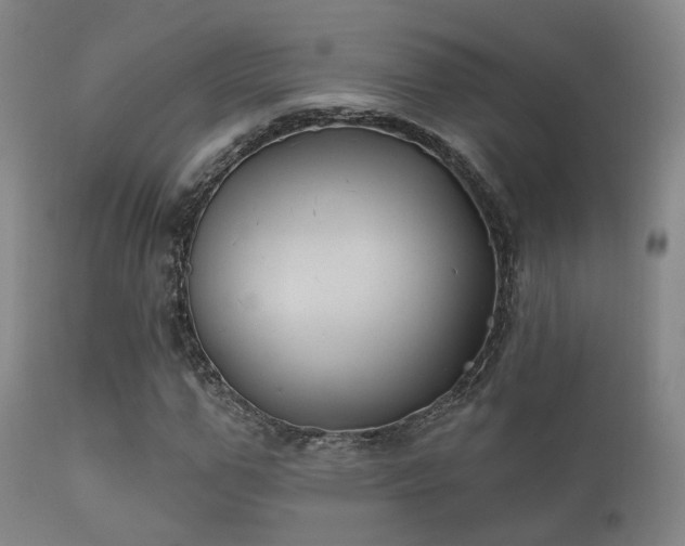 X0000112200967200908141430