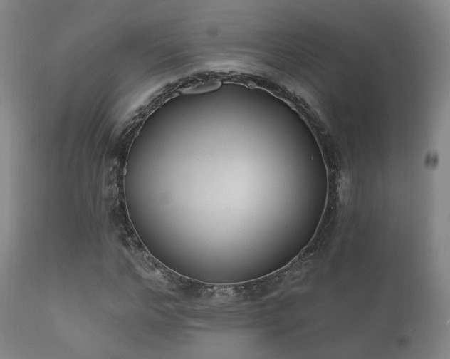 X0000112200968200908141430