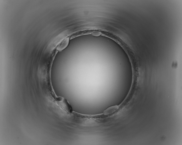 X0000112200969200908141430