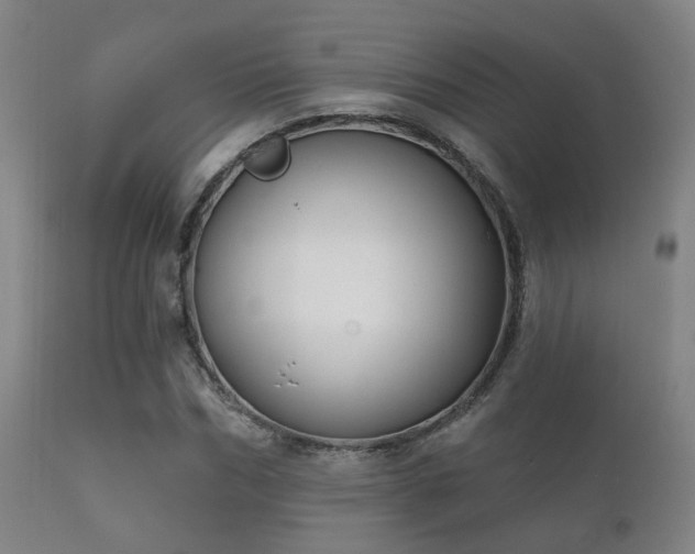 X0000112200970200908141430