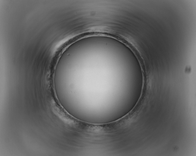 X0000112200971200908141430