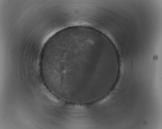 X0000112200975200908141429