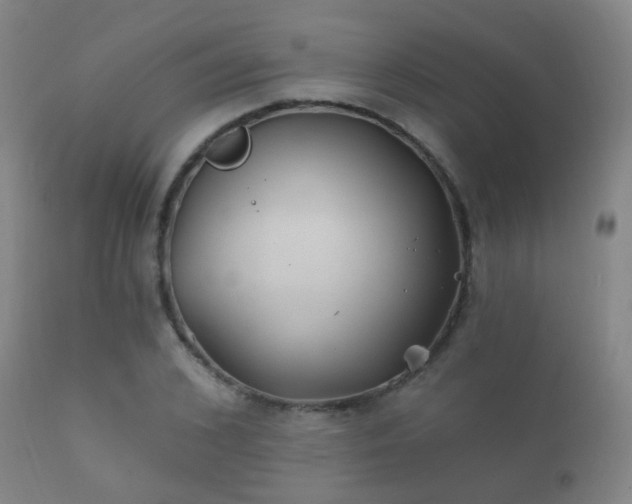 X0000112200976200908141429