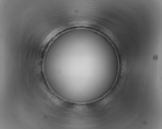 X0000112200978200908141429