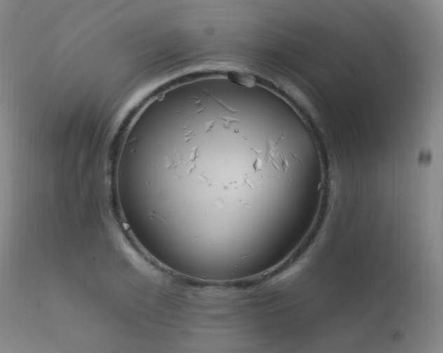 X0000112200981200908141429