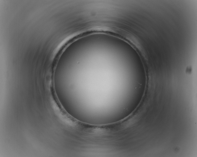 X0000112200984200908141429
