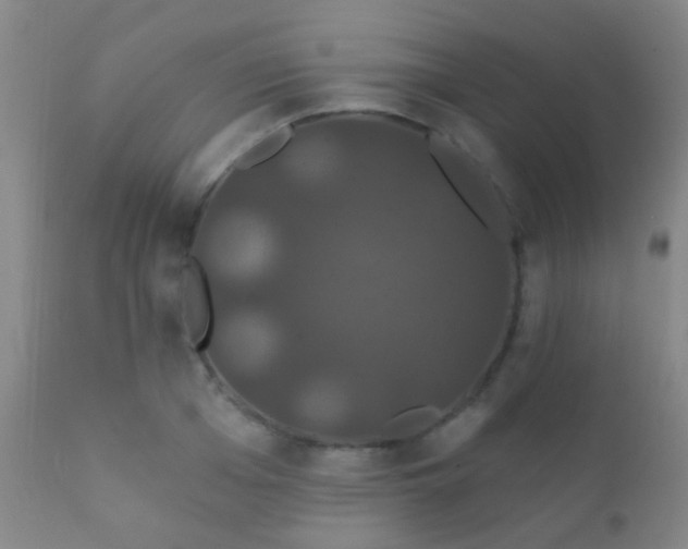 X0000112200985200908141429