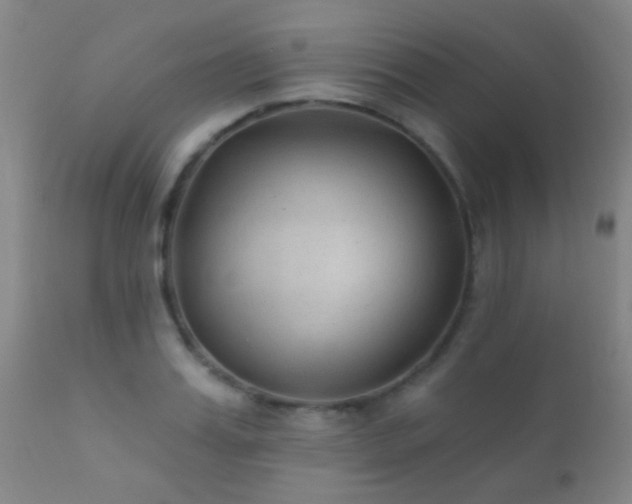 X0000112200987200908141429