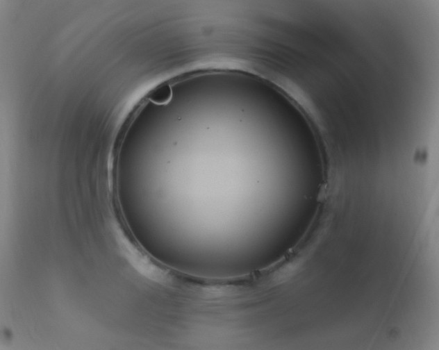 X0000112200988200908141429