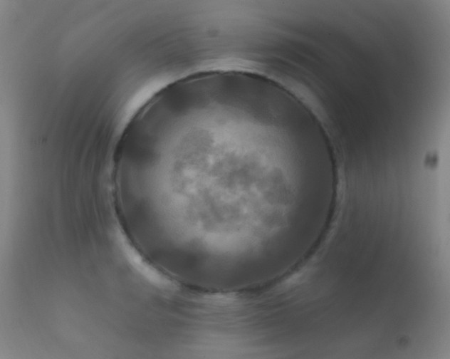 X0000112200990200908141429