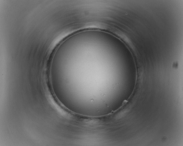 X0000112200991200908141429