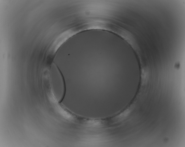 X0000112200993200908141429
