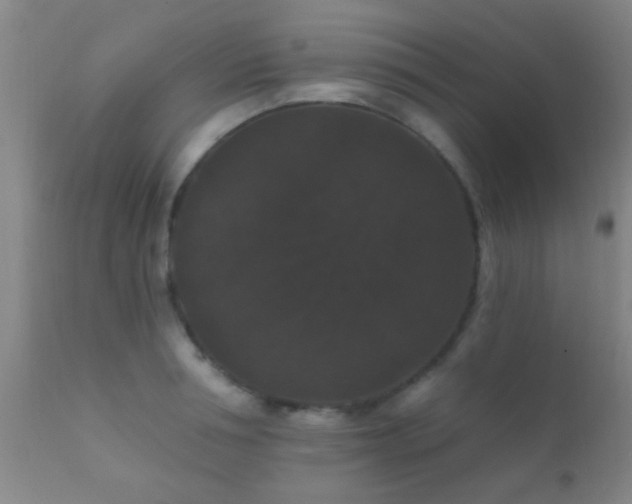X0000112200994200908141429