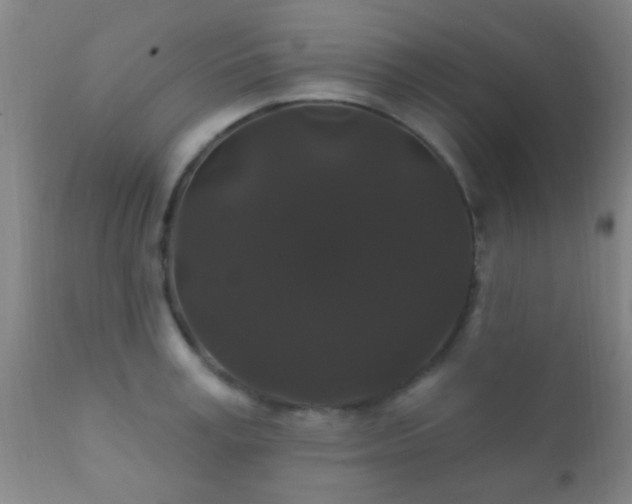 X0000112200995200908141429