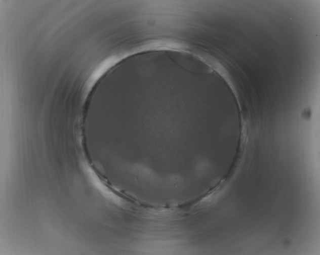 X0000112200997200908141429