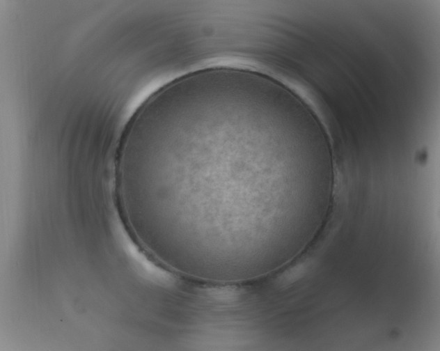X0000112200999200908141429