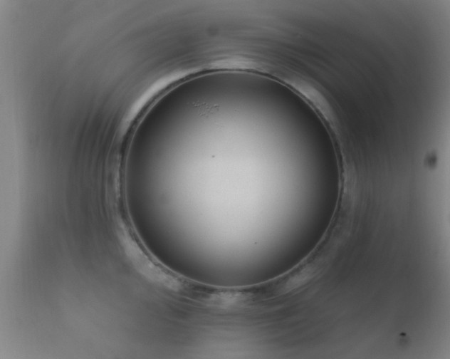 X0000112201000200908141429