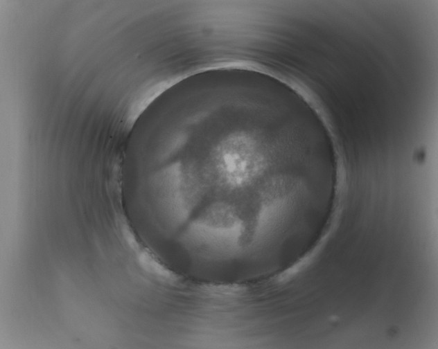 X0000112201001200908141429