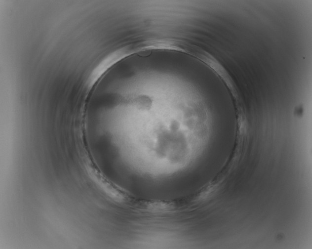 X0000112201002200908141429