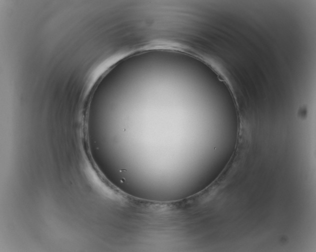 X0000112201003200908141429